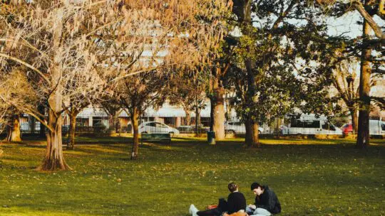 10 choses à faire à Toulouse : notre guide touristique